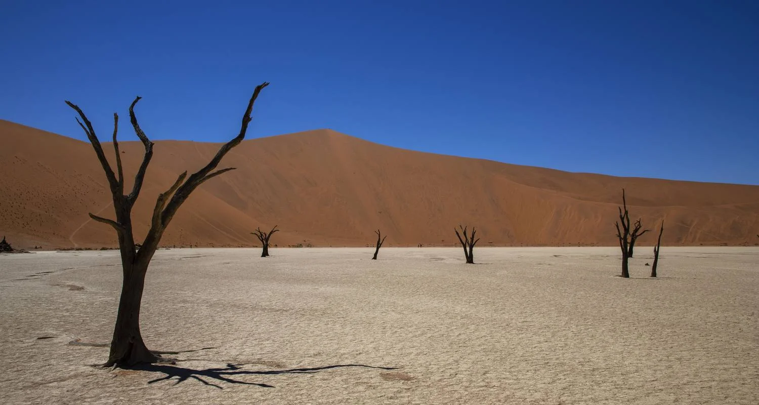 Explore 3-Day Sossusvlei Experience (lodging) for 3 days with Discovery Transfers and Tours and discover unforgettable experiences - Photo 2