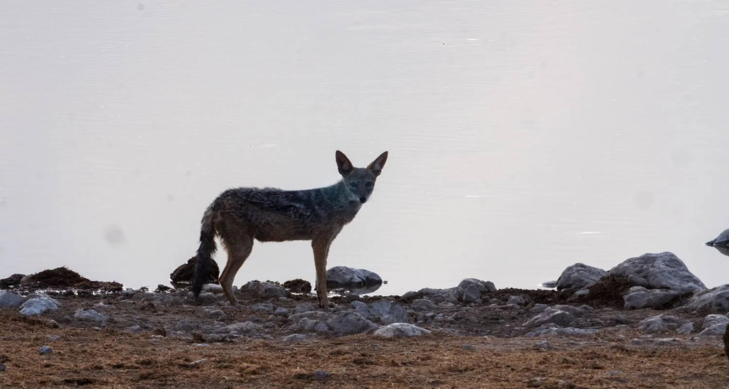 Explore 16-Days Top Sightseeing & Cultural Tour for 16 days with Discovery Transfers and Tours and discover unforgettable experiences - Photo 2