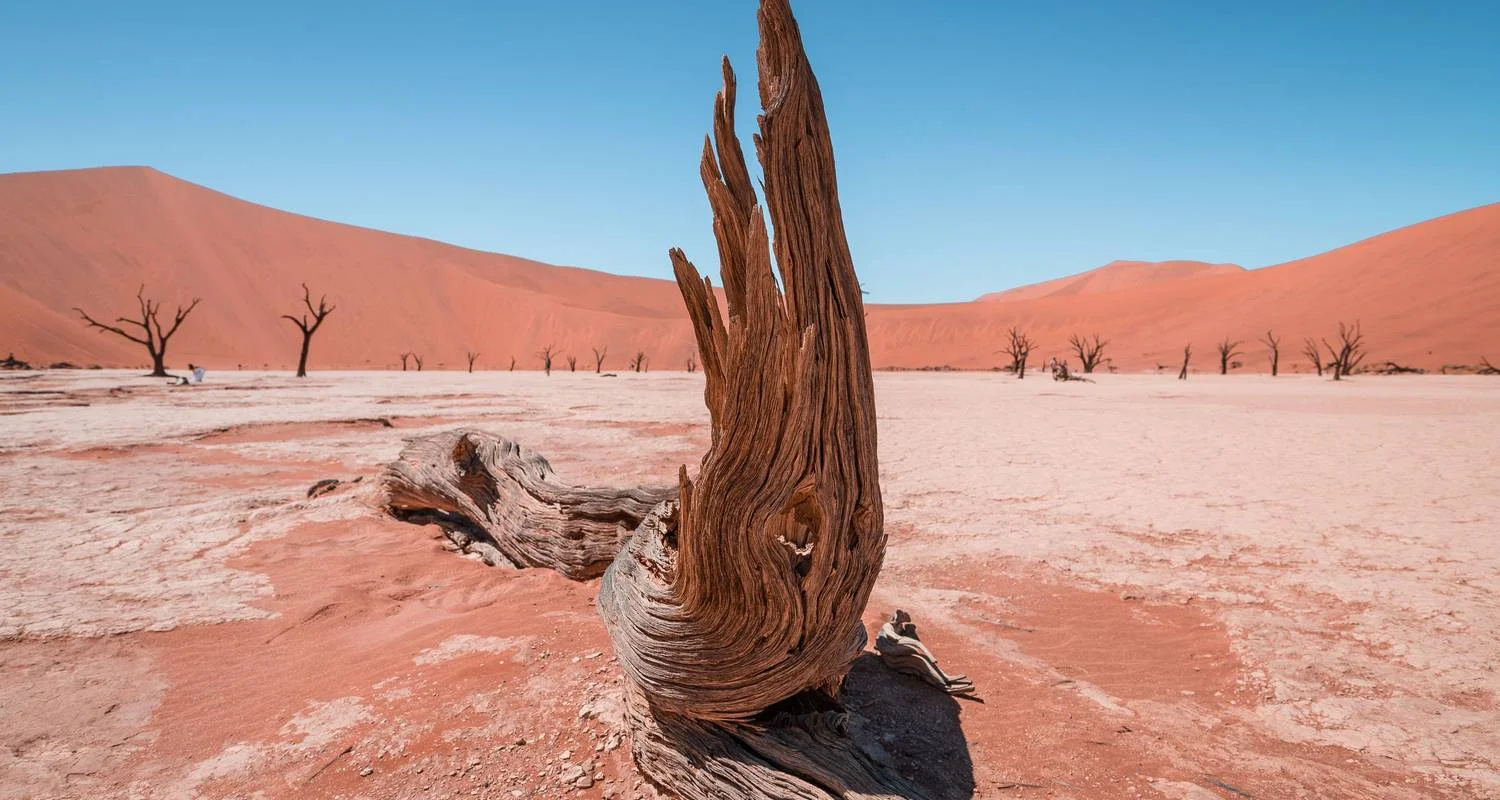 Explore 8-Day Sossusvlei, Swakop, Twyfelfontein & Etosha NP (Camping) for 8 days with Discovery Transfers and Tours and discover unforgettable experiences - Photo 2