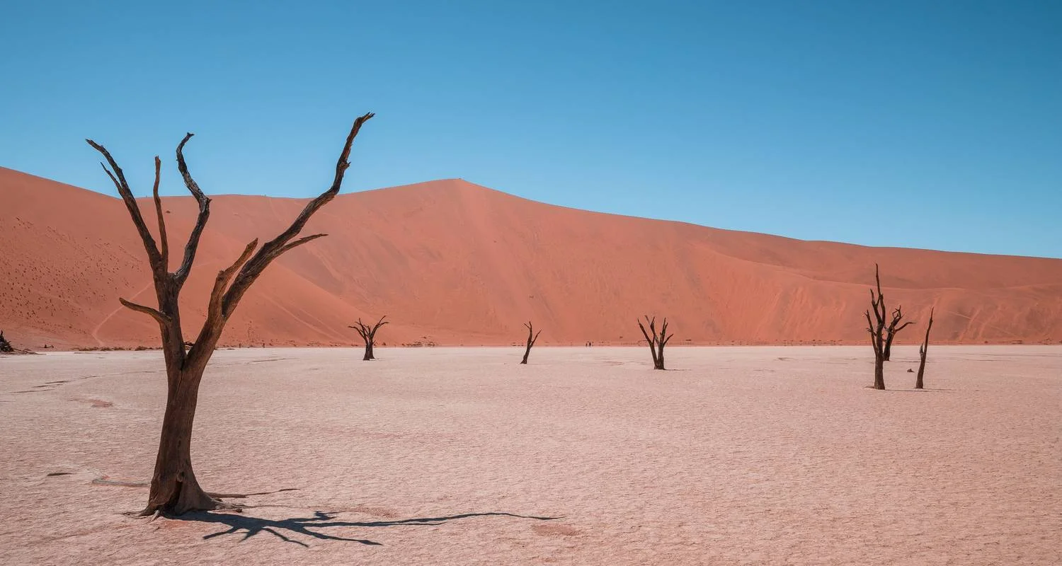Explore 8-Day Sossusvlei, Swakop, Twyfelfontein & Etosha (Lodging) for 8 days with Discovery Transfers and Tours and discover unforgettable experiences - Photo 2