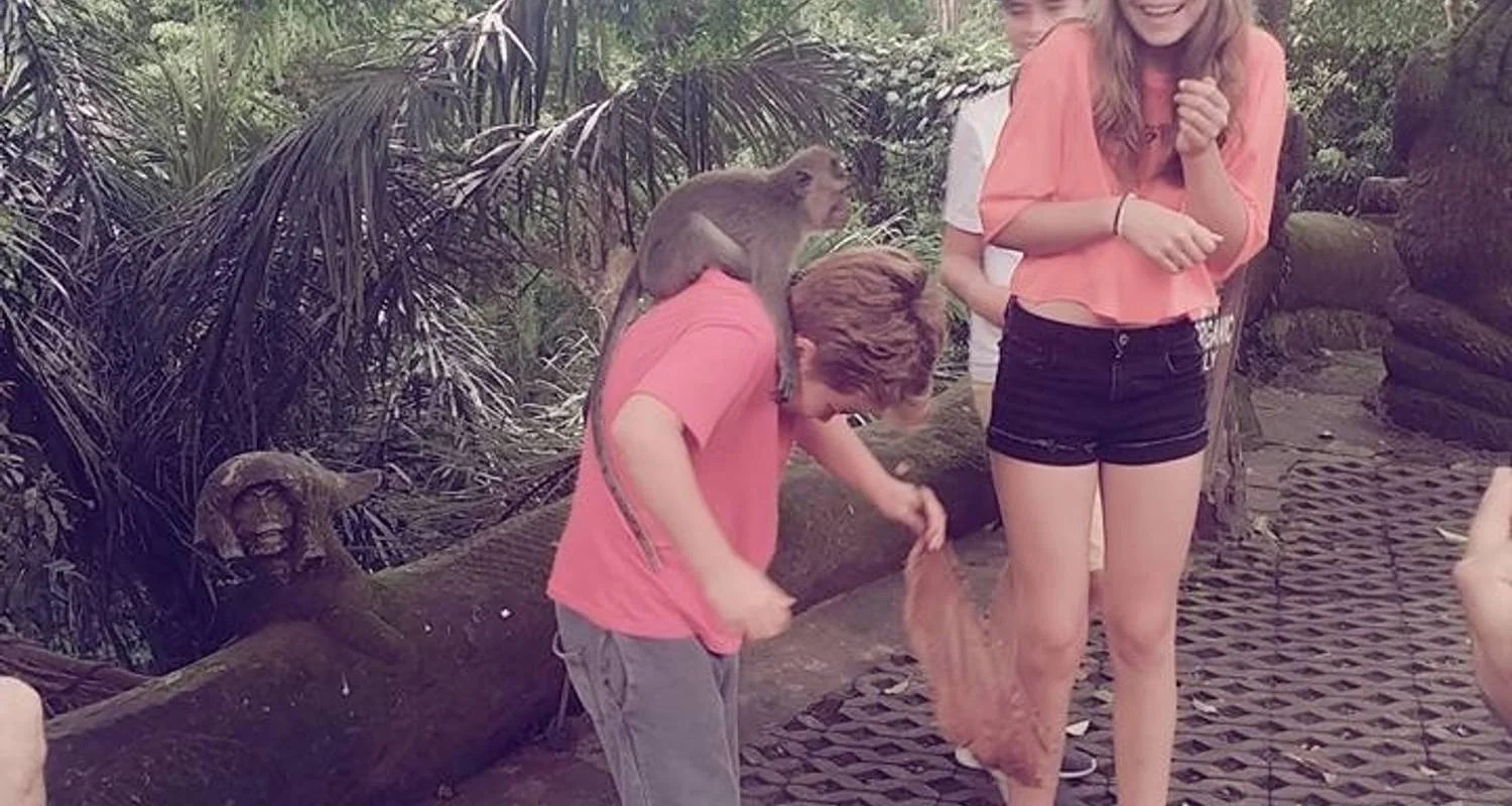 Explore 4 Days Sightseeing Bali Tour for 4 days with Diwira Wisata Indonesia and discover unforgettable experiences - Photo 2