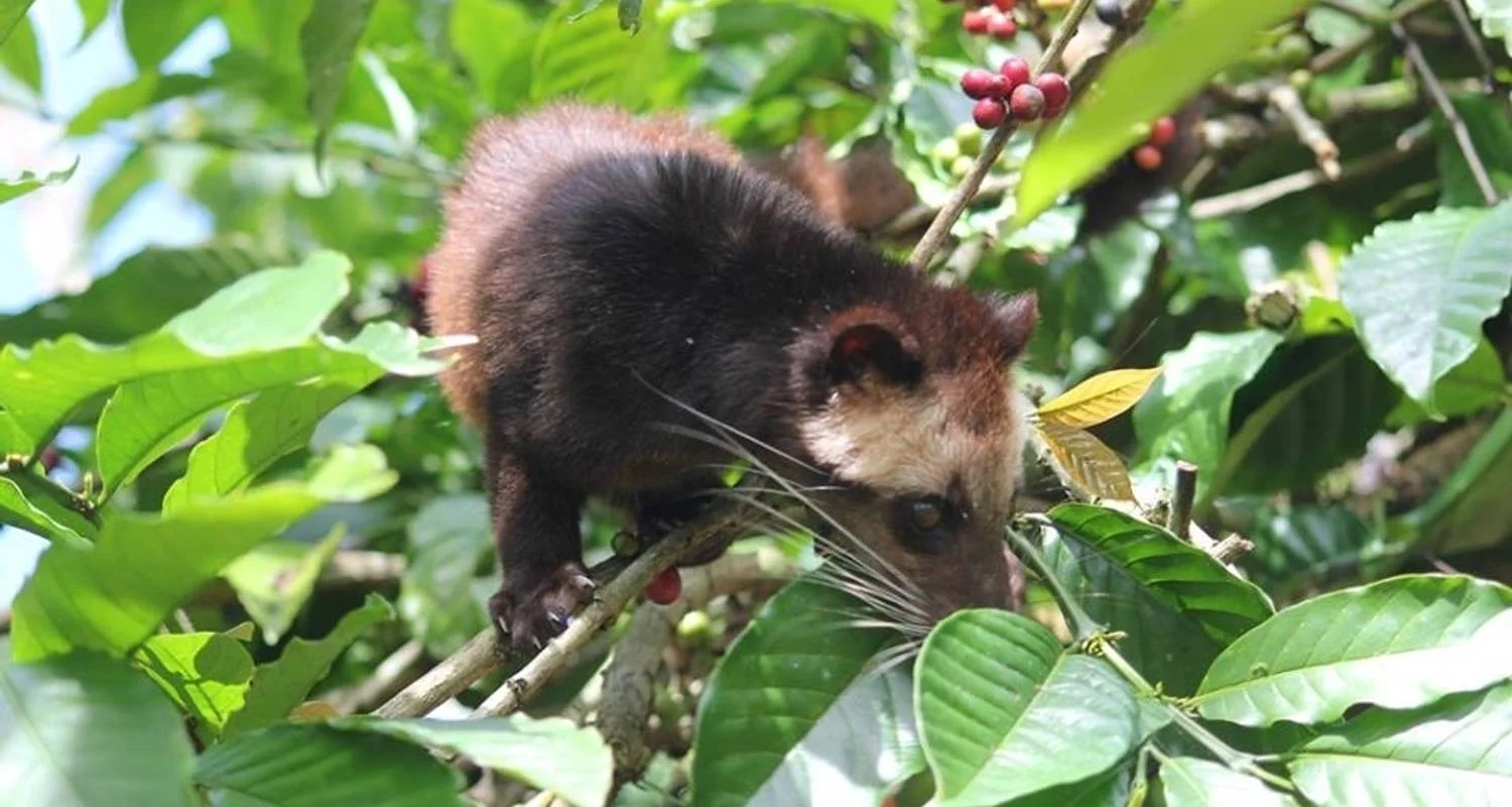 Explore 7 Days Explore Bali and Nusa Penida for 7 days with Diwira Wisata Indonesia and discover unforgettable experiences - Photo 2