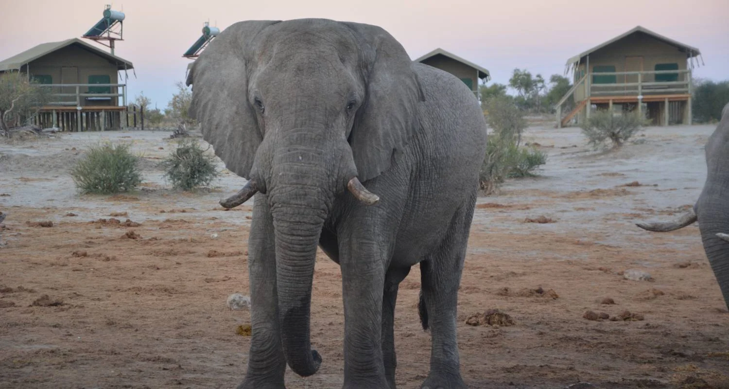 Explore 16 DAY - BOTSWANA OVERLAND TOUR / ACCOMMODATED for 16 days with Drifters Adventure Tours and discover unforgettable experiences - Photo 2