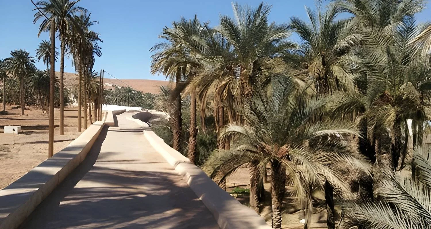 Explore Mature Saharan & Oases Tour for 20 days with EL-GOLEA  Tourism  Travel and discover unforgettable experiences - Photo 2