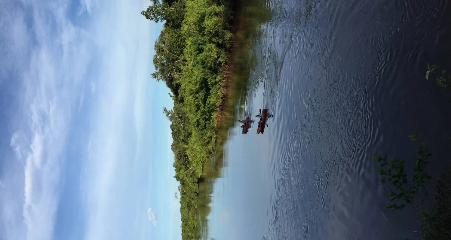 Explore On the tracks of the jaguar (incl. domestic flights) for 11 days with ETours Brazil DMC and discover unforgettable experiences - Photo 2