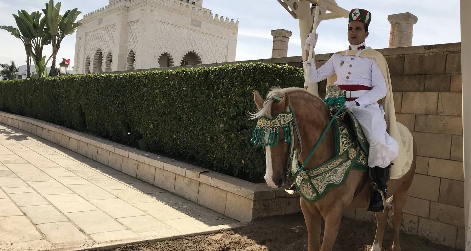 Explore Casablanca to Tangier 8 Days for 8 days with Easygo Tours and discover unforgettable experiences - Photo 2