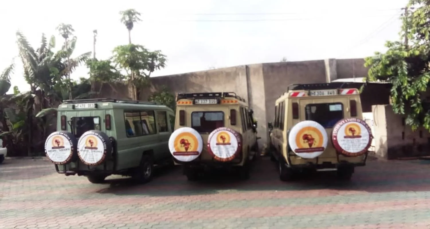 Explore 3-Day Tarangire, Ngorongoro  and Manyara Safari -Special Offer for 3 days with Eatl Tour and Safari Group  and discover unforgettable experiences - Photo 2