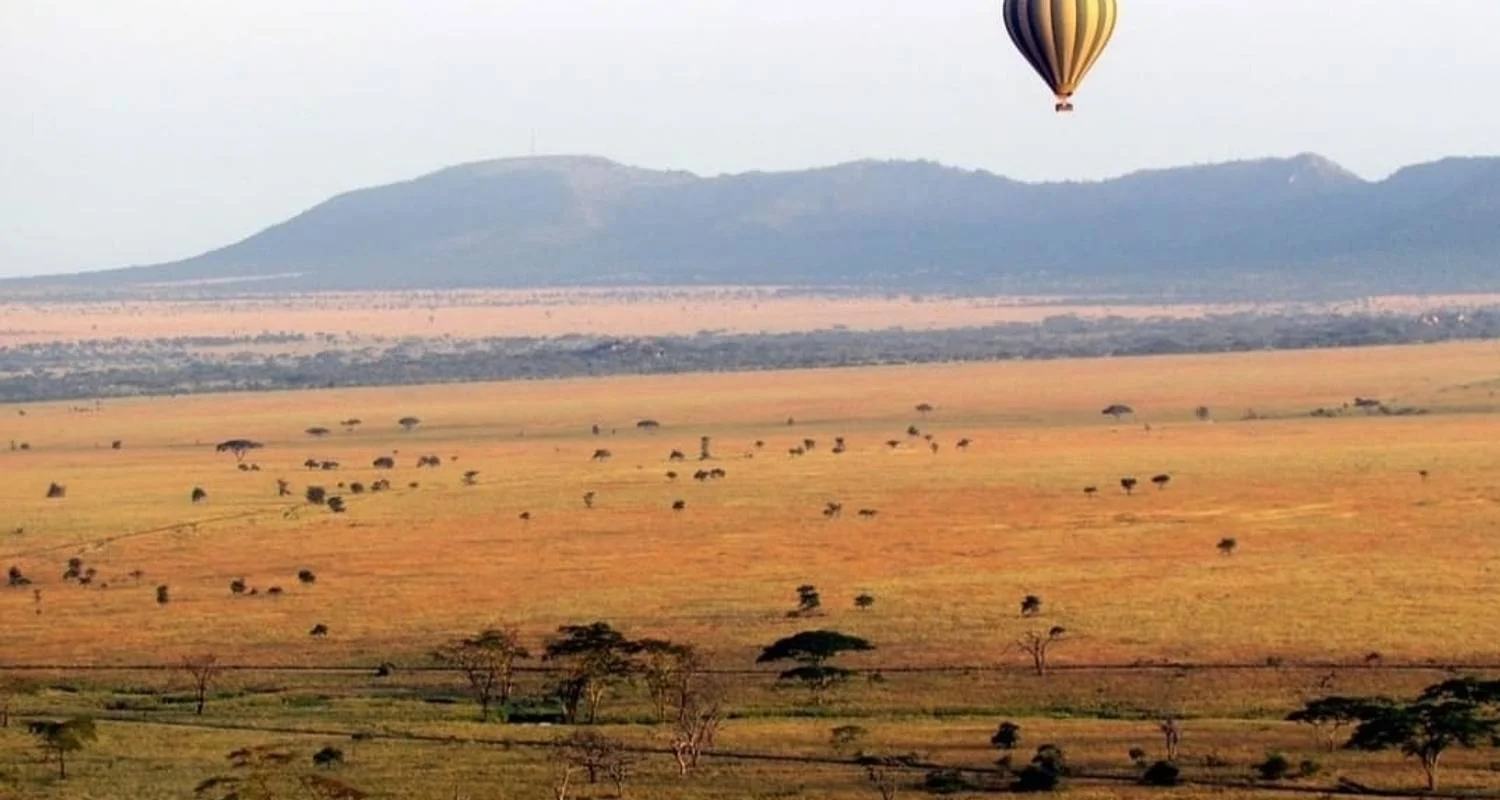 Explore Serengeti & Ngorongoro Crater – 3 Days & 2 Nights -Private Luxury for 3 days with Eatl Tour and Safari Group  and discover unforgettable experiences - Photo 2