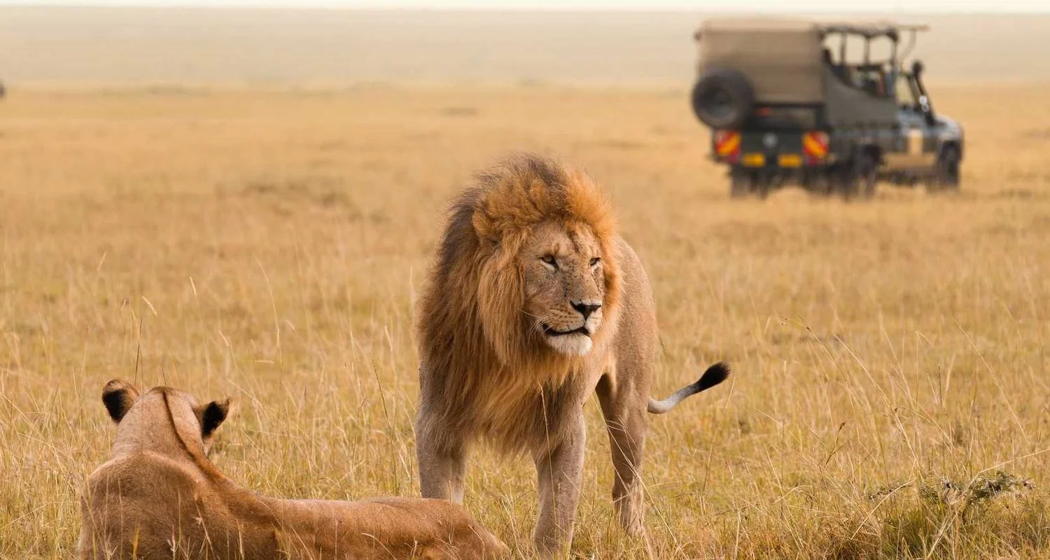 Explore 3 Days Masai Mara Game Reserve Kenya Safari for 3 days with Eatl Tour and Safari Group  and discover unforgettable experiences - Photo 2