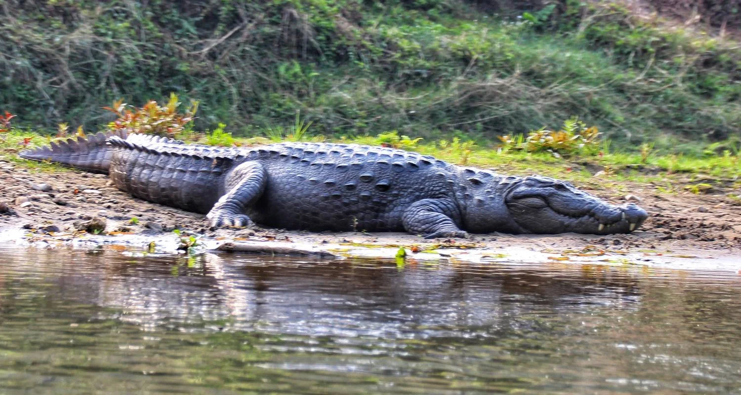 Explore Nepal Photography Tour for 8 days with Eco Holidays Nepal and discover unforgettable experiences - Photo 2