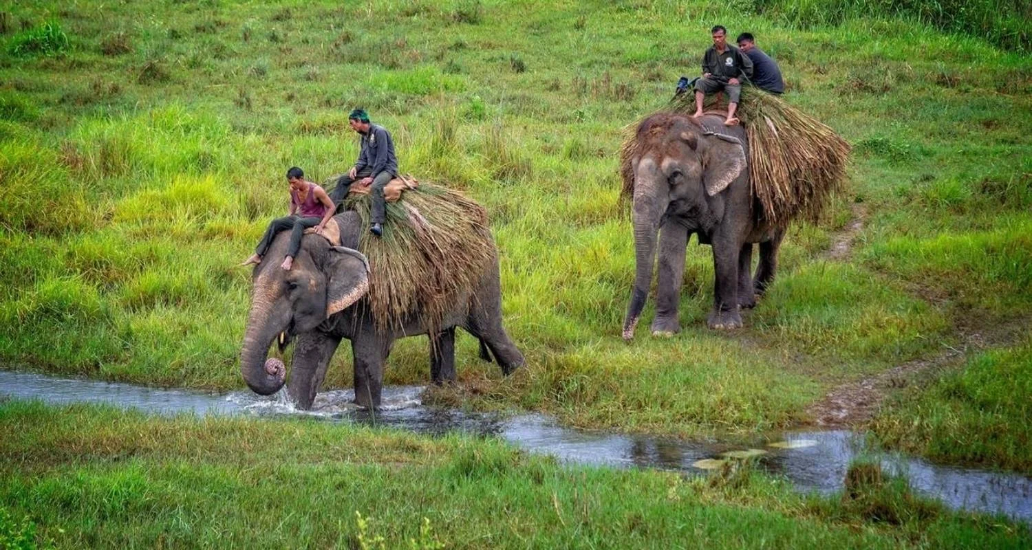 Explore Chitwan National Park - 3  Days for 3 days with Eco Holidays Nepal and discover unforgettable experiences - Photo 2