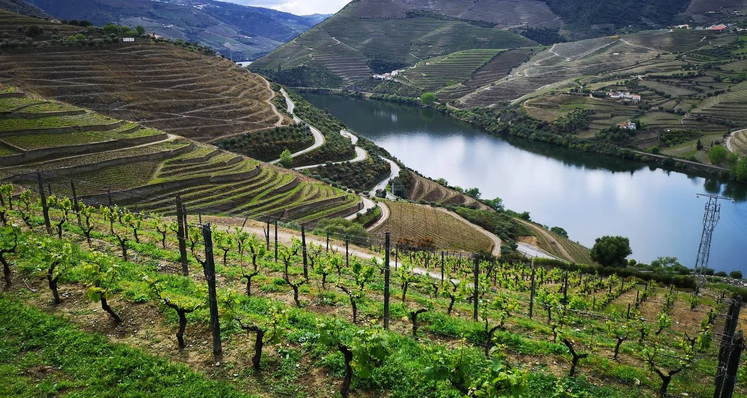 Explore 7-Day Small-Group Portugal Tours with Douro Valley for 7 days with EcoTrilha Portugal Tours and discover unforgettable experiences - Photo 2