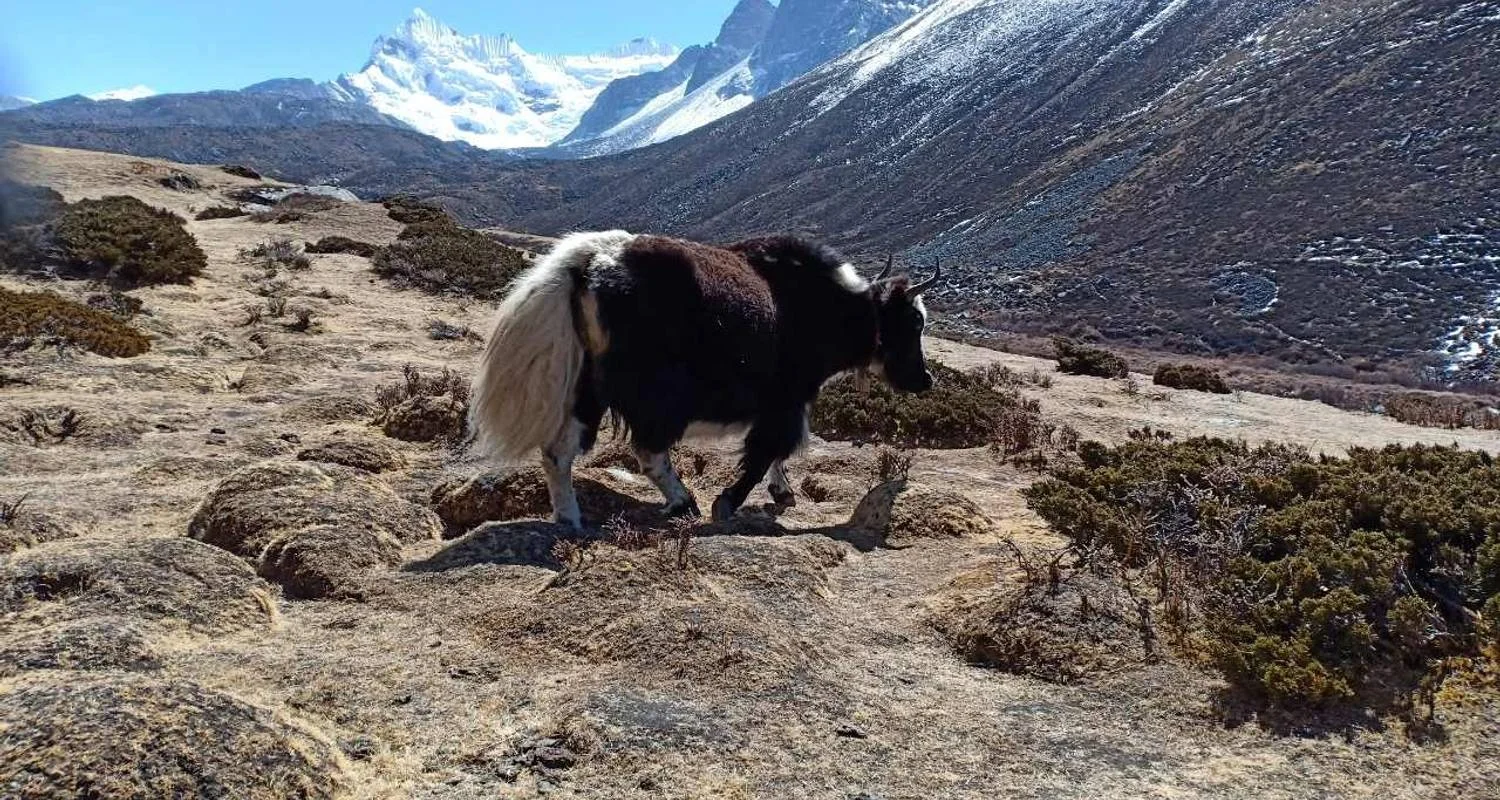 Explore Everest Base Camp Trek with Helicopter Return 2024/2025/2026 for 10 days with Eco Holidays Nepal and discover unforgettable experiences - Photo 2