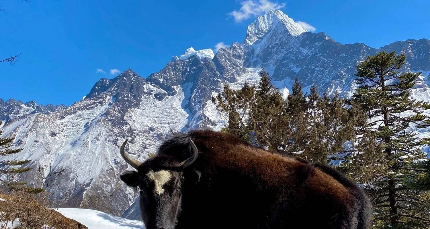 Explore Everest Base Camp sharing Helicopter Tour for 1 days with Eco Holidays Nepal and discover unforgettable experiences - Photo 2