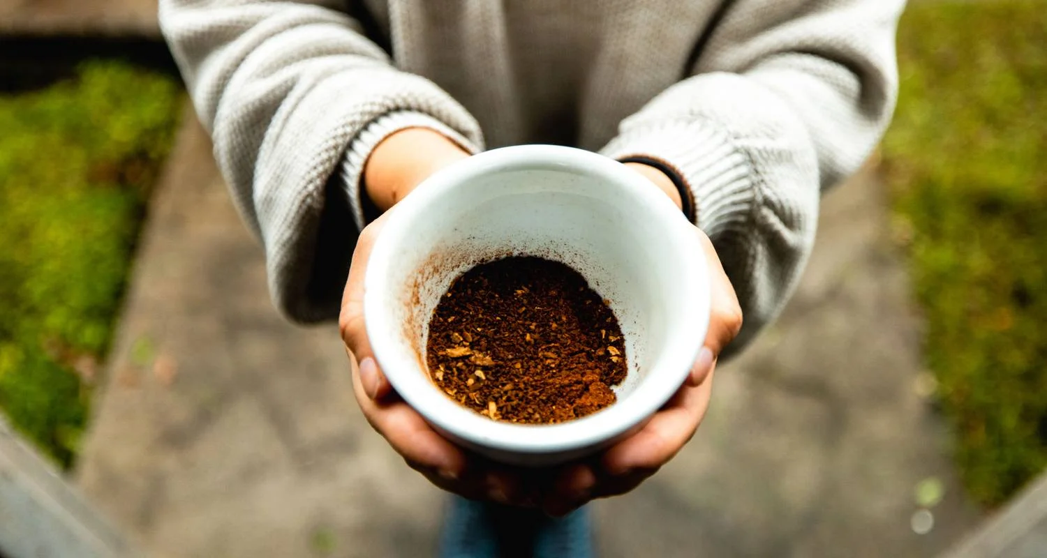 Explore Panama's Best: The Canal, Coffee, and Cloud Forest Escape for 7 days with EcoCircuitos Panama and discover unforgettable experiences - Photo 2