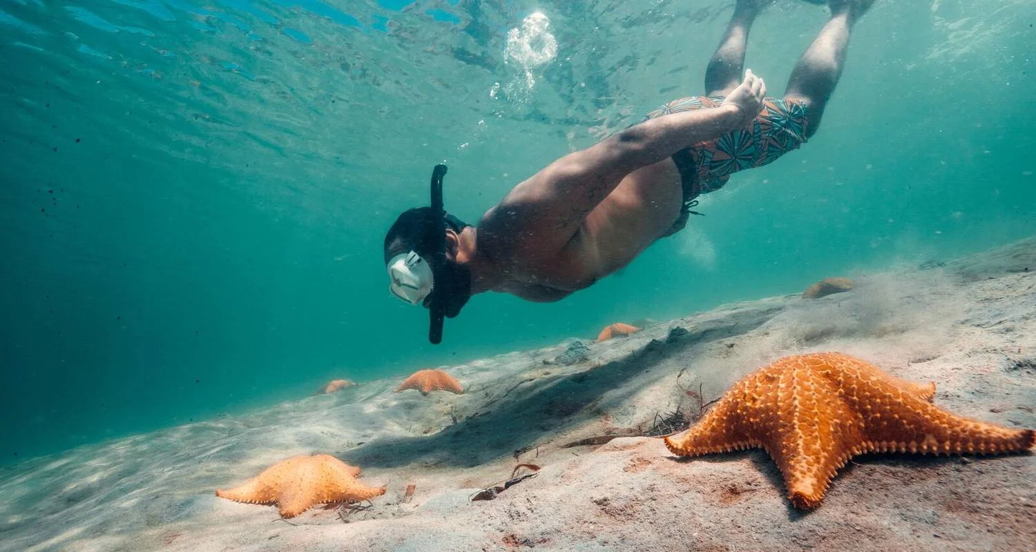 Explore Urban to Island: Panama City & Bocas Adventure for 7 days with EcoCircuitos Panama and discover unforgettable experiences - Photo 2