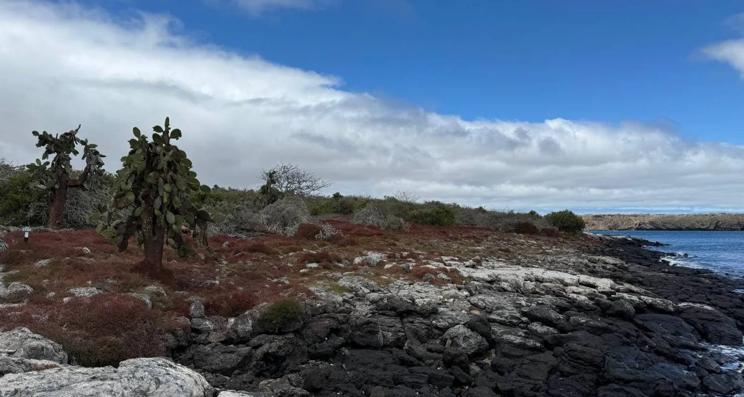 Explore Discovering the Enchanting Galapagos Islands for 4 days with Ecuador Wonders and discover unforgettable experiences - Photo 2