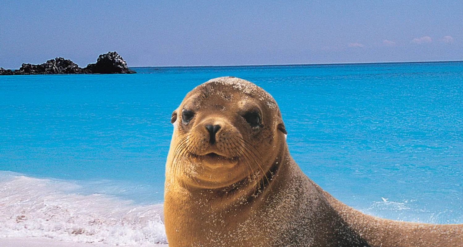 Explore Explore the wonders of Galapagos in this 5-day tour for 5 days with Ecuador Wonders and discover unforgettable experiences - Photo 2