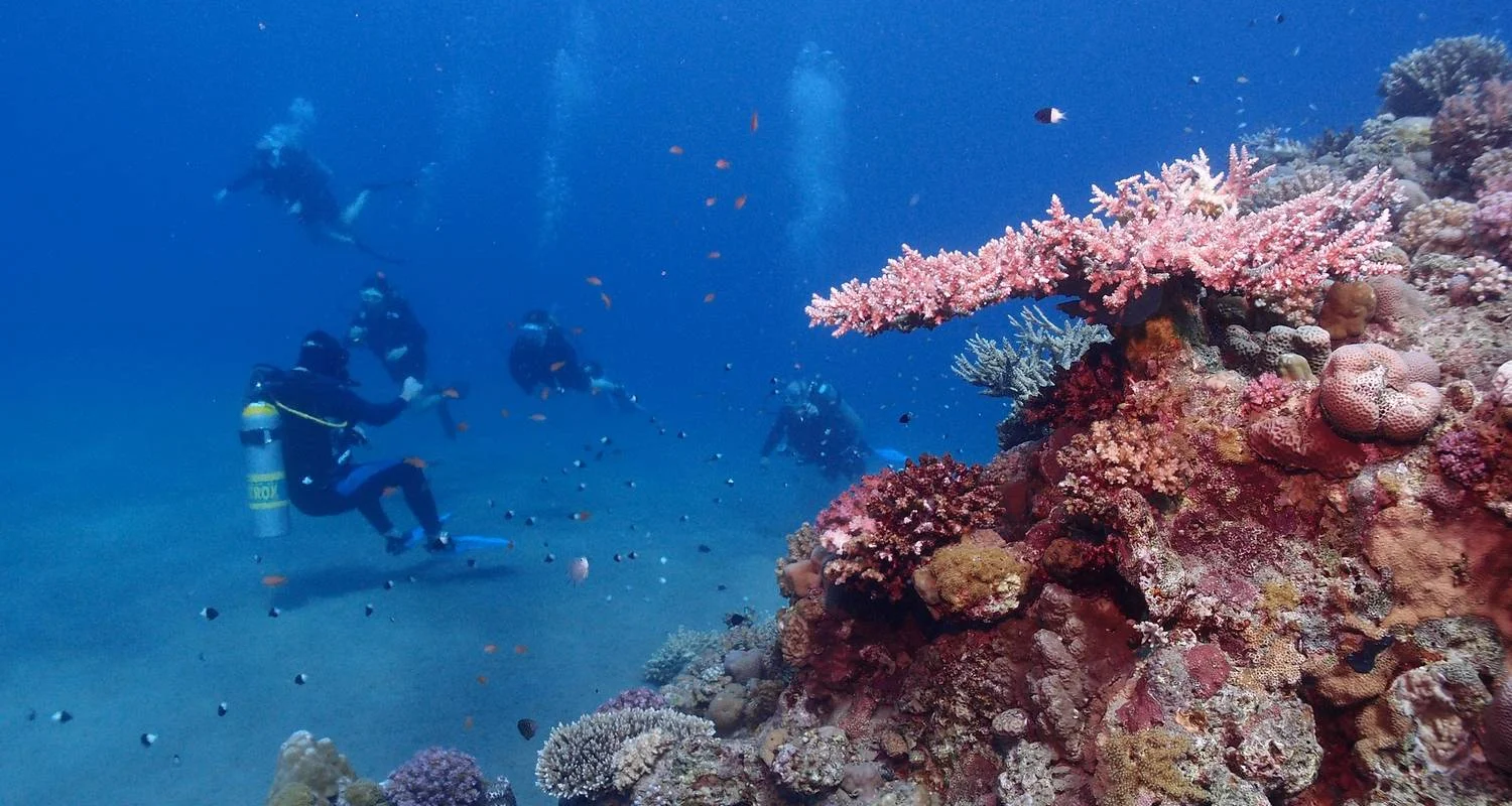 Explore Diving & Snorkeling Boat Tour with Lunch for 1 days with Egypt Tour Pro  and discover unforgettable experiences - Photo 2