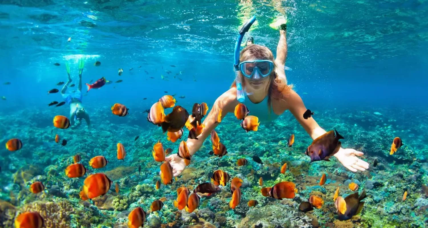 Explore Full Day Snorkeling Trip to the Red Sea in Safaga from Luxor for 1 days with Egypt Gift Tours and discover unforgettable experiences - Photo 2