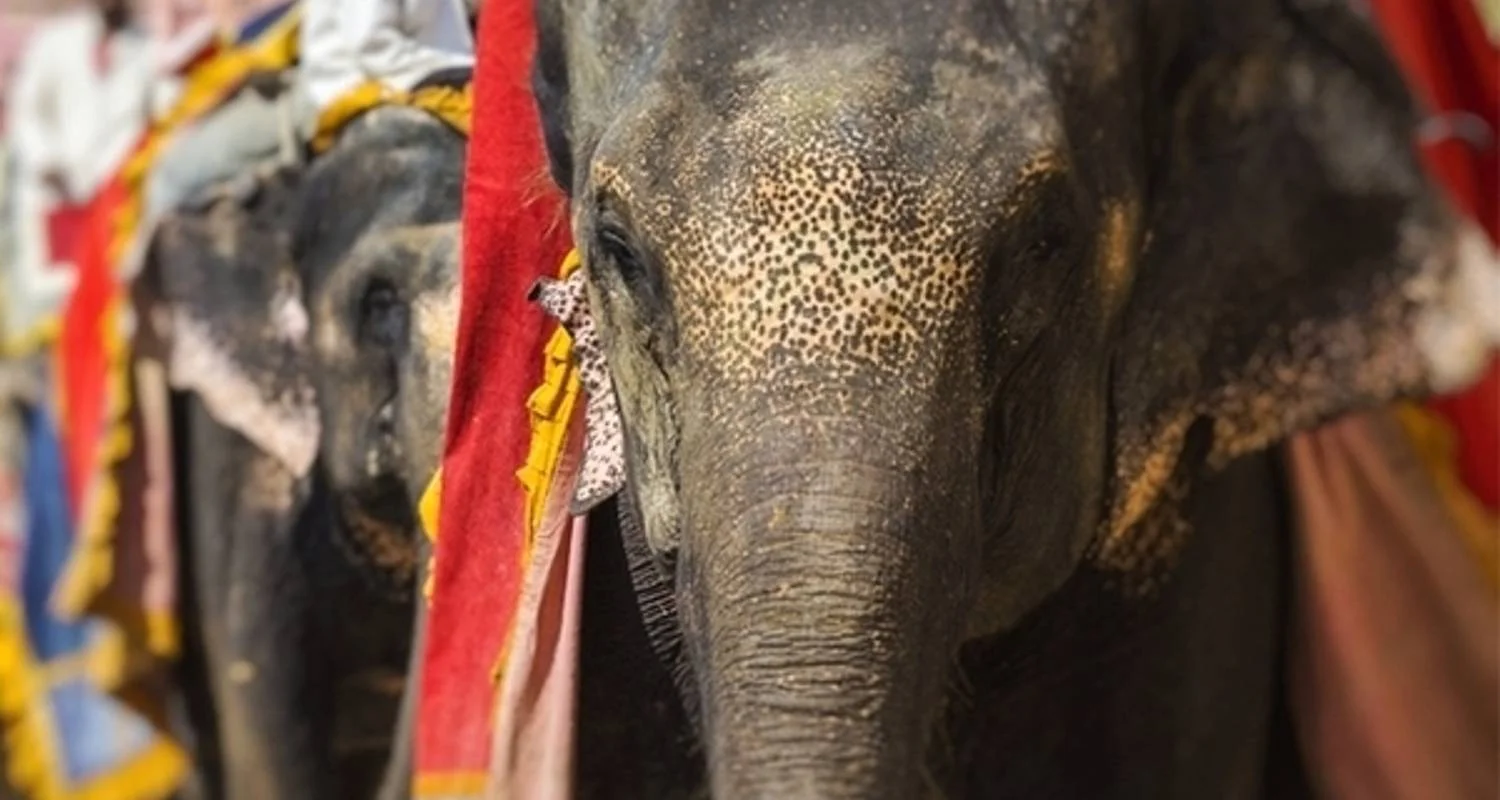 Explore Golden Triangle Tour with 3 Star Hotel for 6 days with Emperor Holidays and discover unforgettable experiences - Photo 2