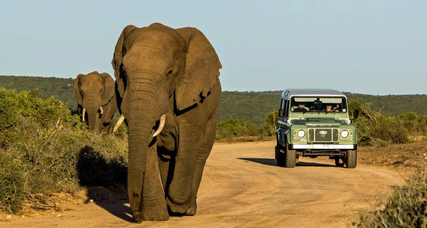 Explore The Garden Route - 8 days for 8 days with Encounters Travel and discover unforgettable experiences - Photo 2