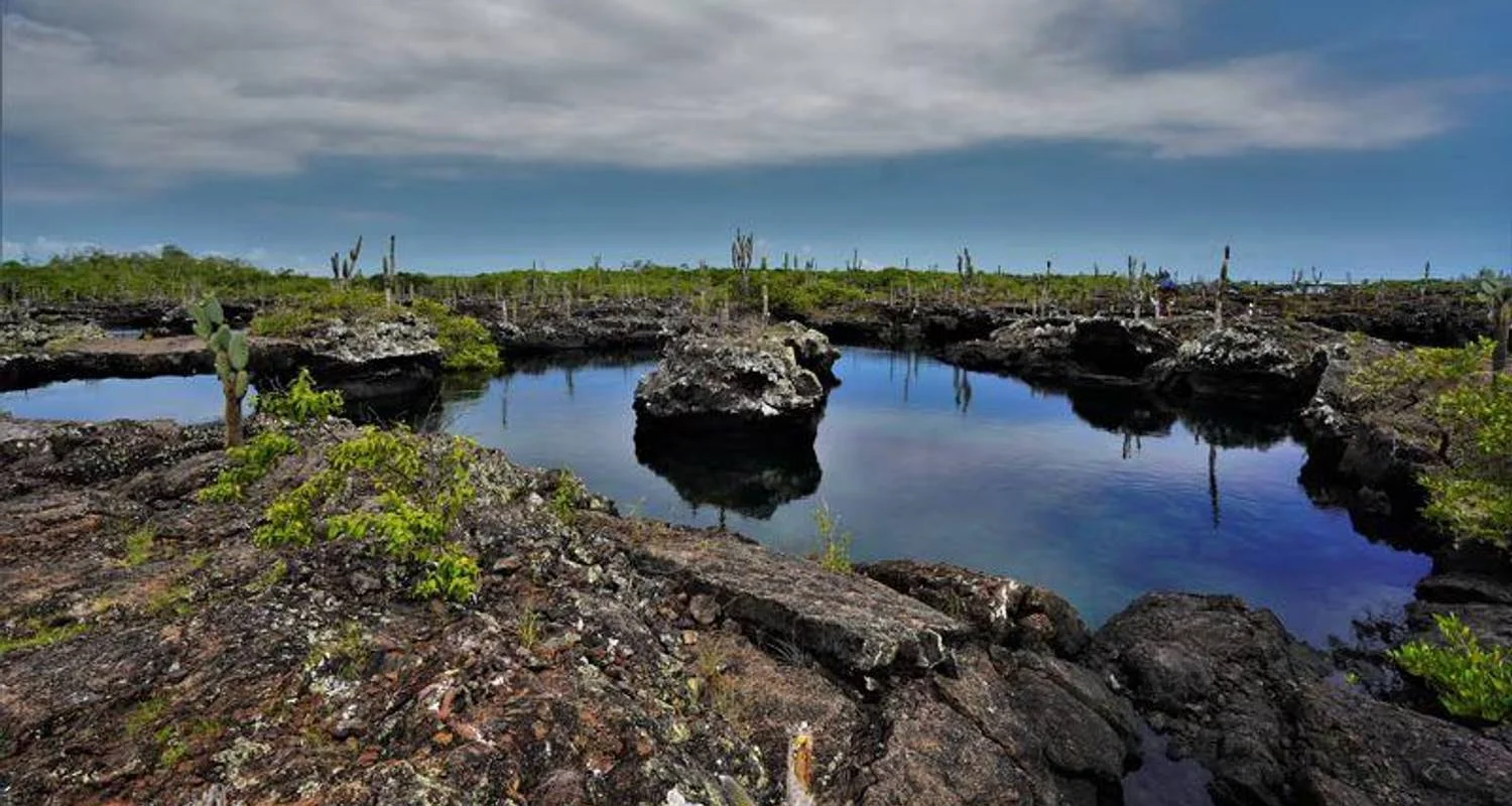Explore Galapagos Essentials for 7 days with Encounters Travel and discover unforgettable experiences - Photo 2