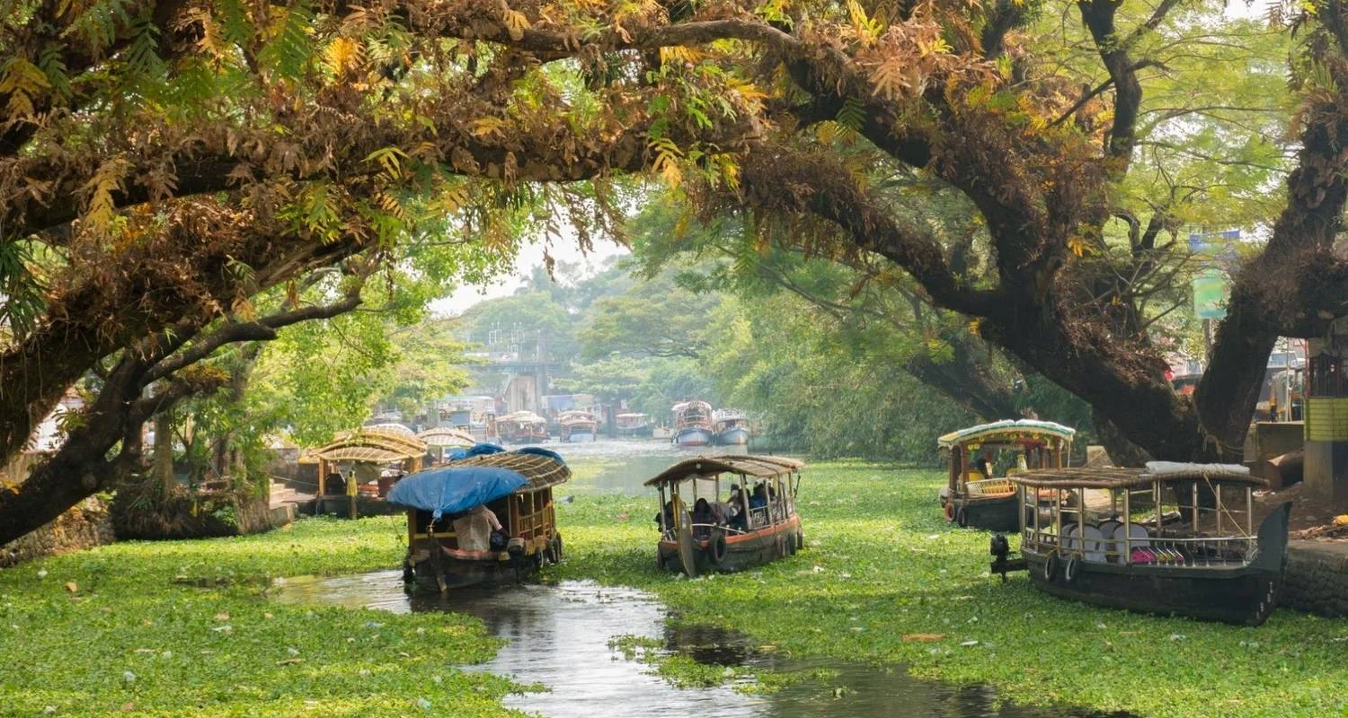 Explore Kerala Backwaters & Hillstations for 9 days with Encounters Travel and discover unforgettable experiences - Photo 2
