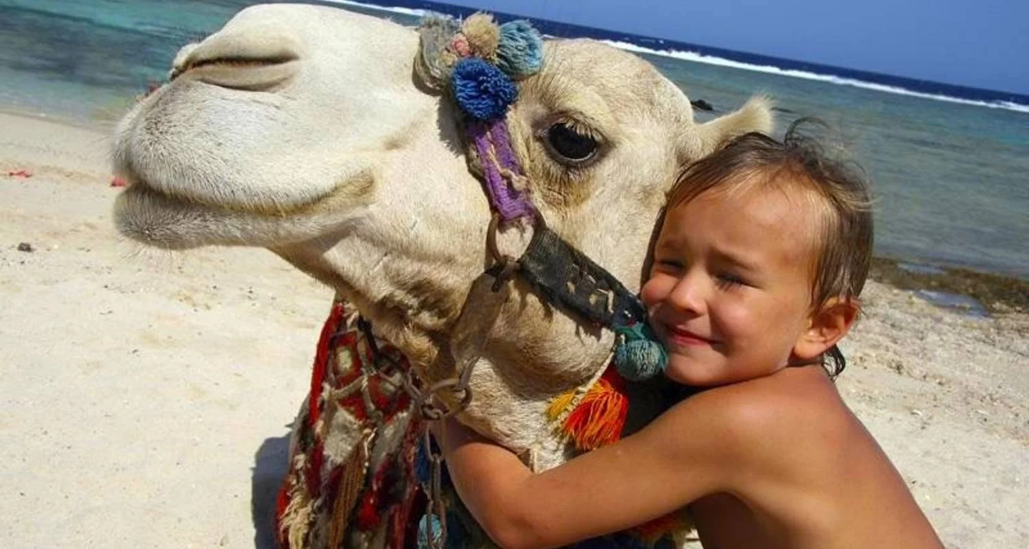 Explore Egyptian Family Adventure for 12 days with Encounters Travel and discover unforgettable experiences - Photo 2