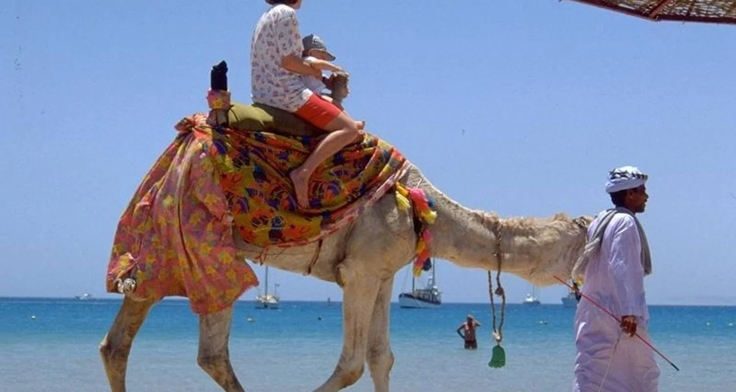 Explore Nile Family Adventure for 9 days with Encounters Travel and discover unforgettable experiences - Photo 2