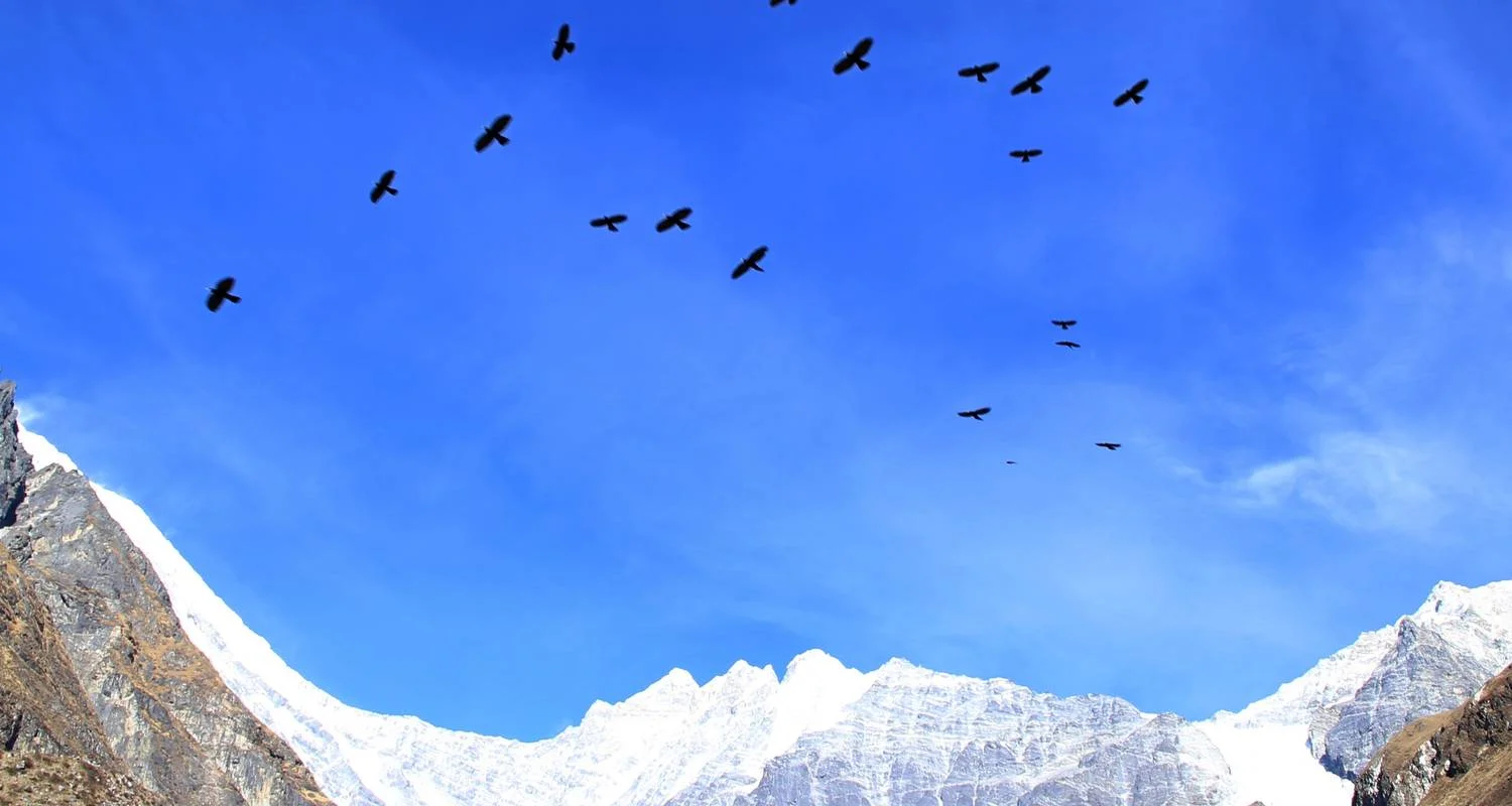 Explore Langtang Gosainkunda Chisopani Trek for 15 days with Escape Himalaya Trek and discover unforgettable experiences - Photo 2