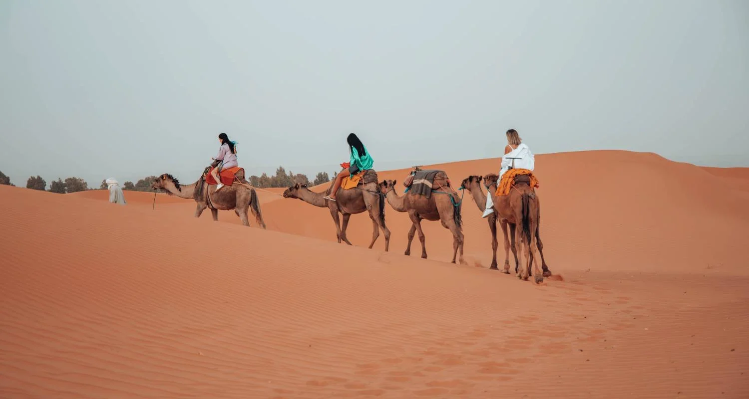 Explore 3 Day Sahara Tour - Marrakech to Fes via Merzouga, Morocco for 3 days with Escorted Morocco Tours and discover unforgettable experiences - Photo 2