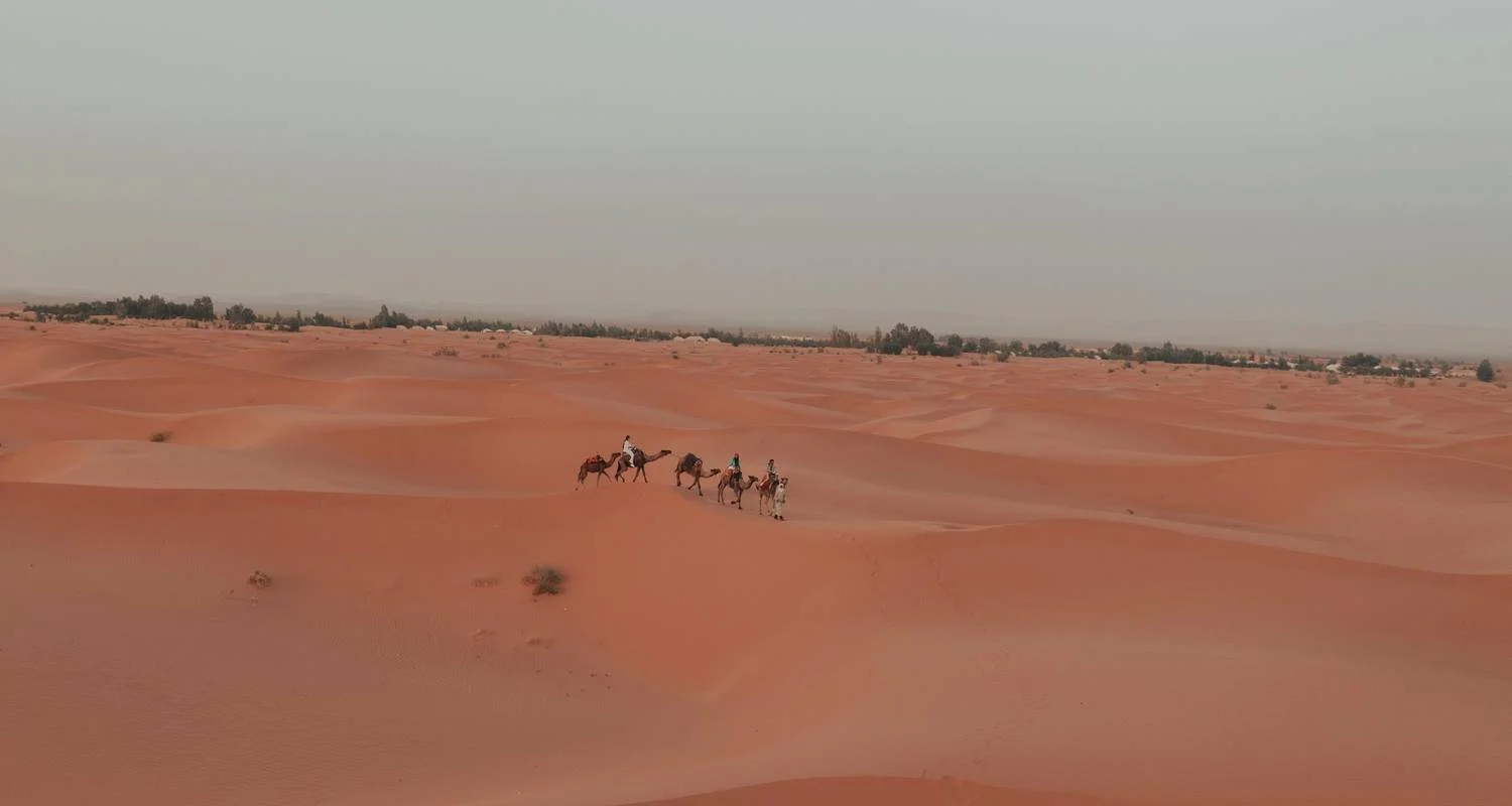 Explore 3-Day, 2-Night Camp Adventure from Fes to Marrakech for 3 days with Escorted Morocco Tours and discover unforgettable experiences - Photo 2