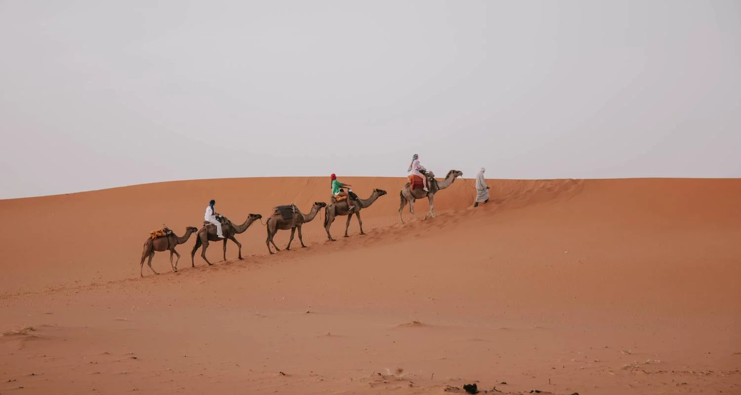 Explore 7 Days Morocco Desert Tour from Casablanca to Marrakesh for 7 days with Escorted Morocco Tours and discover unforgettable experiences - Photo 2