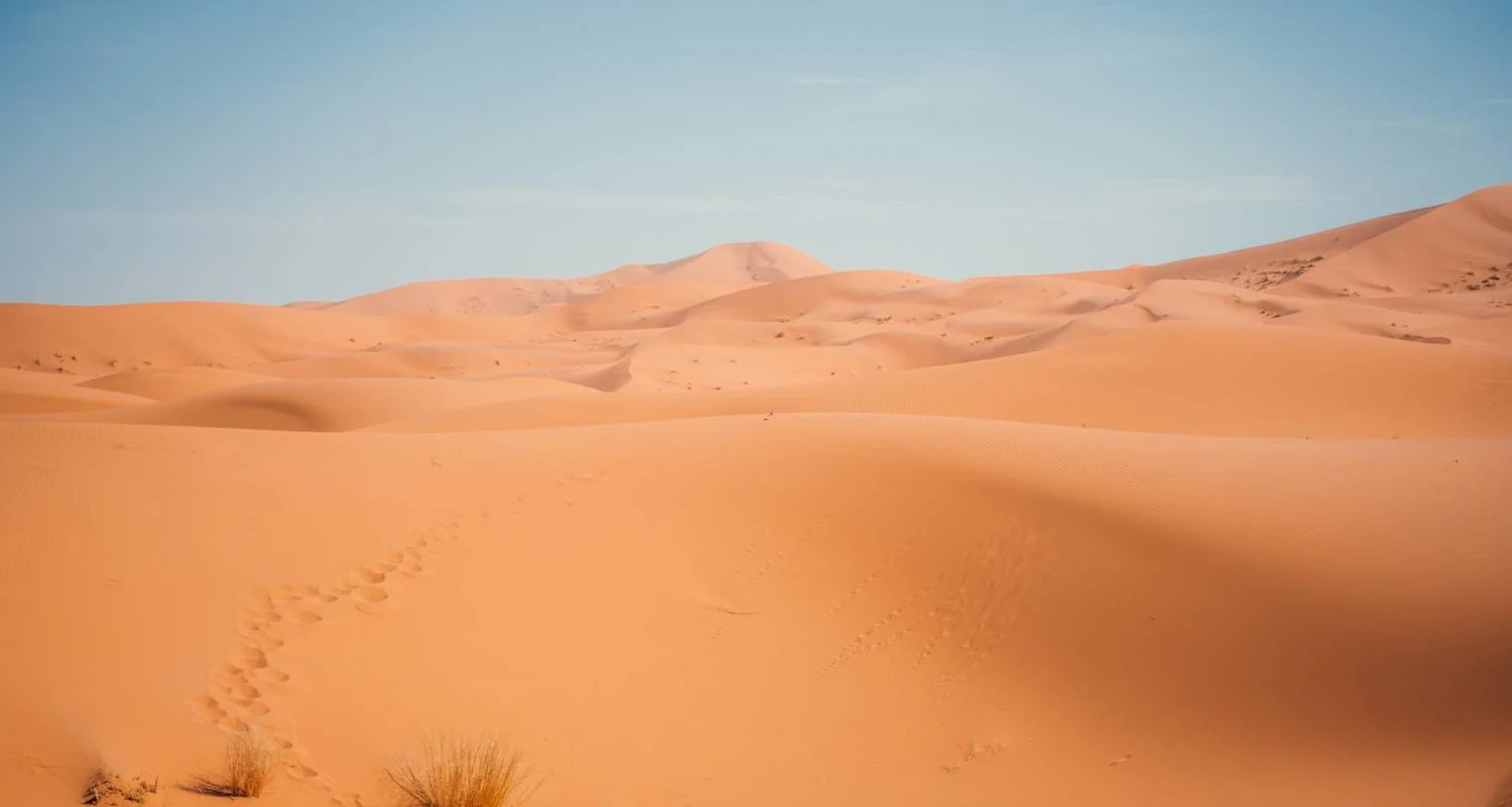 Explore 6 Days Morocco Special Tour from Casablanca to Marrakesh for 6 days with Escorted Morocco Tours and discover unforgettable experiences - Photo 2