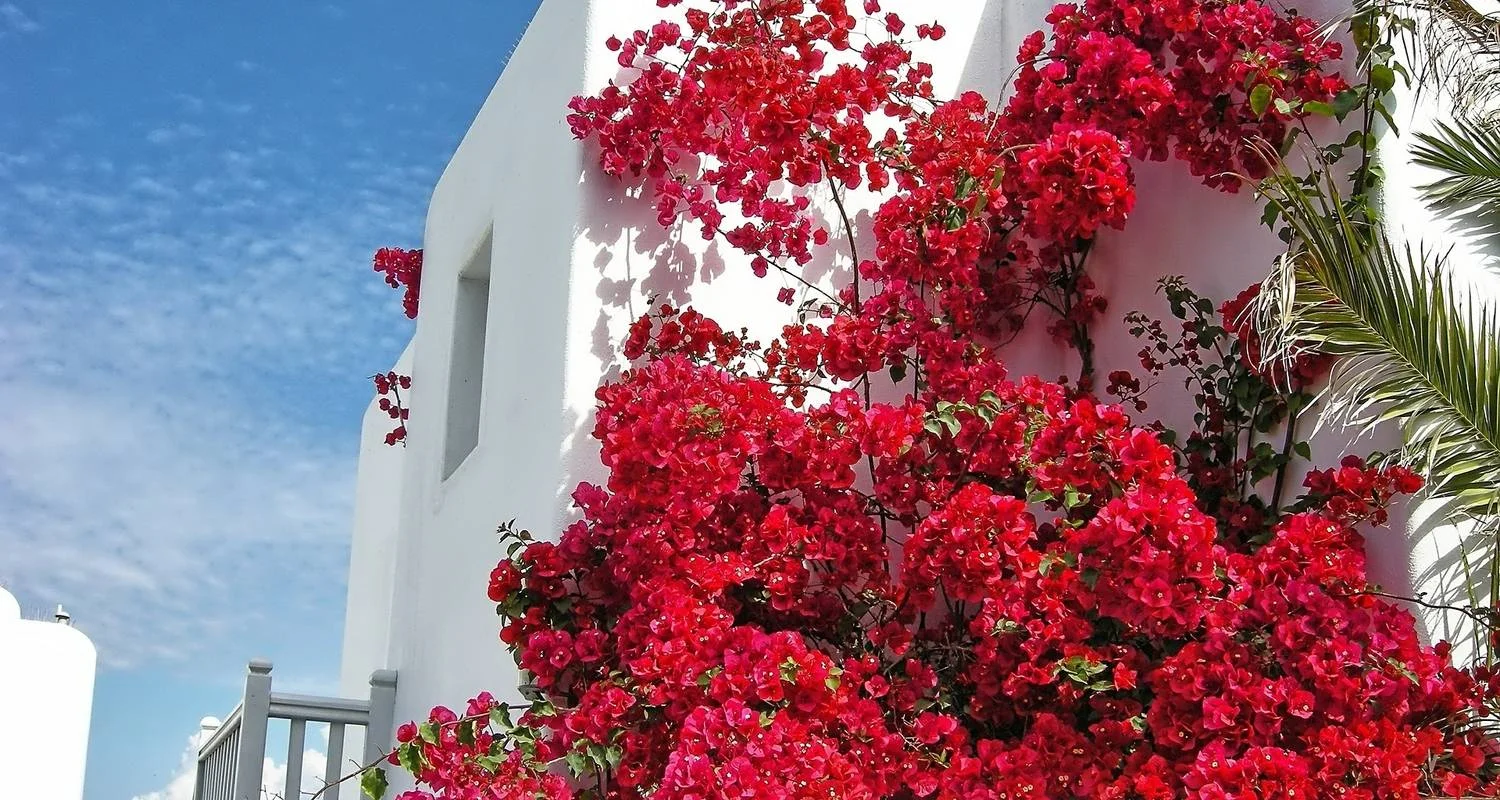 Explore Cycladic Explorer: Athens - Mykonos - Santorini( or Paros) for 10 days with Eskapas and discover unforgettable experiences - Photo 2