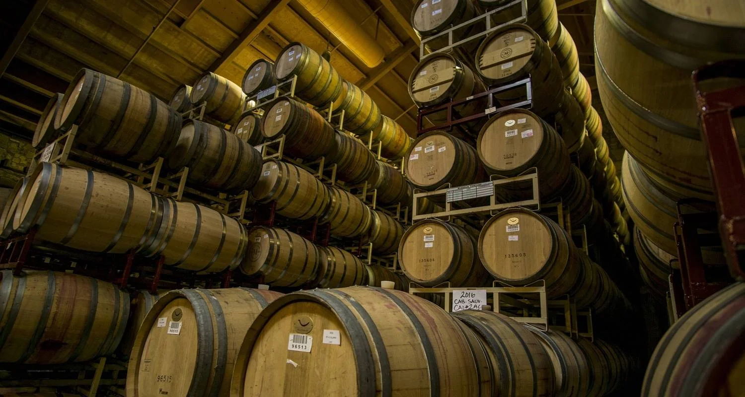 Explore Piedmont Private Epxerience: land of grapes, truffle and history for 5 days with Europeando Europa and discover unforgettable experiences - Photo 2