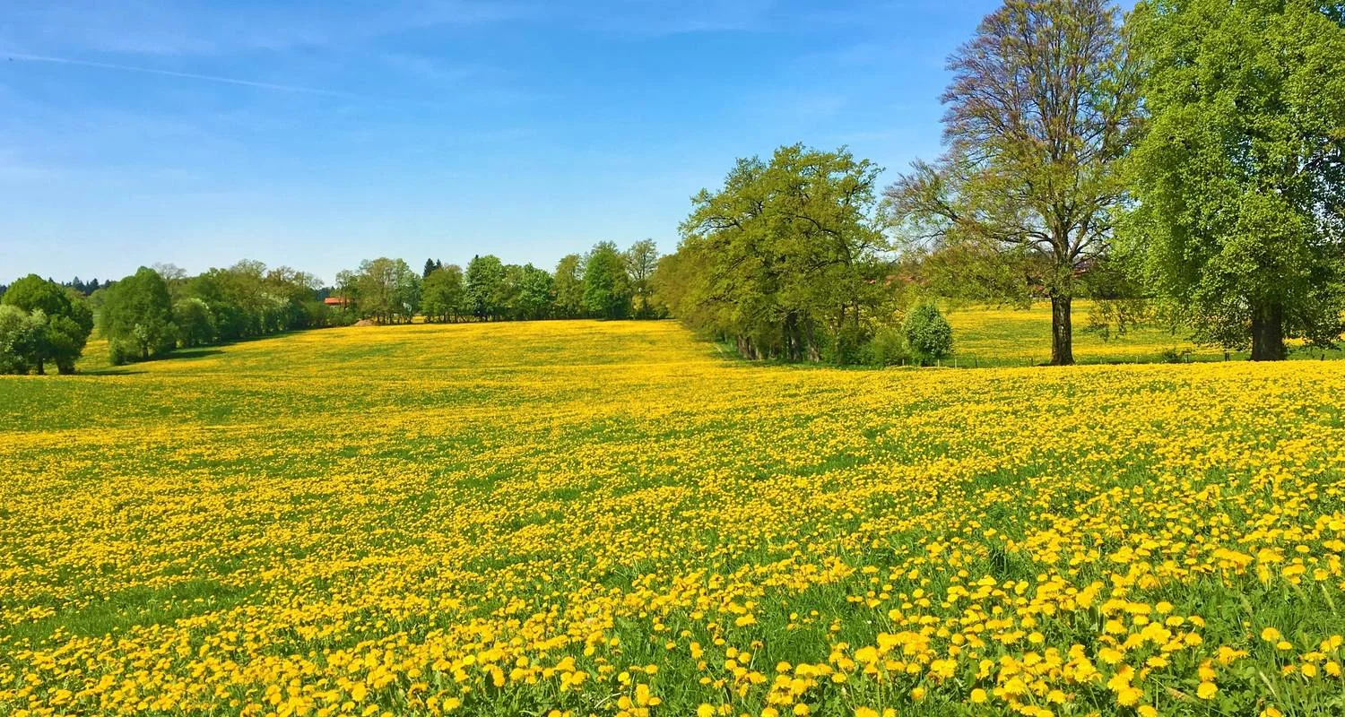 Explore Munich Lakes 9/8 for 9 days with Eurobike and discover unforgettable experiences - Photo 2