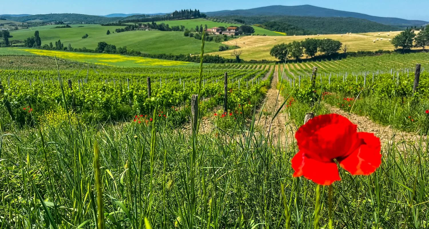 Explore Umbria – The Green Heart of Italy for 8 days with Eurohike and discover unforgettable experiences - Photo 2