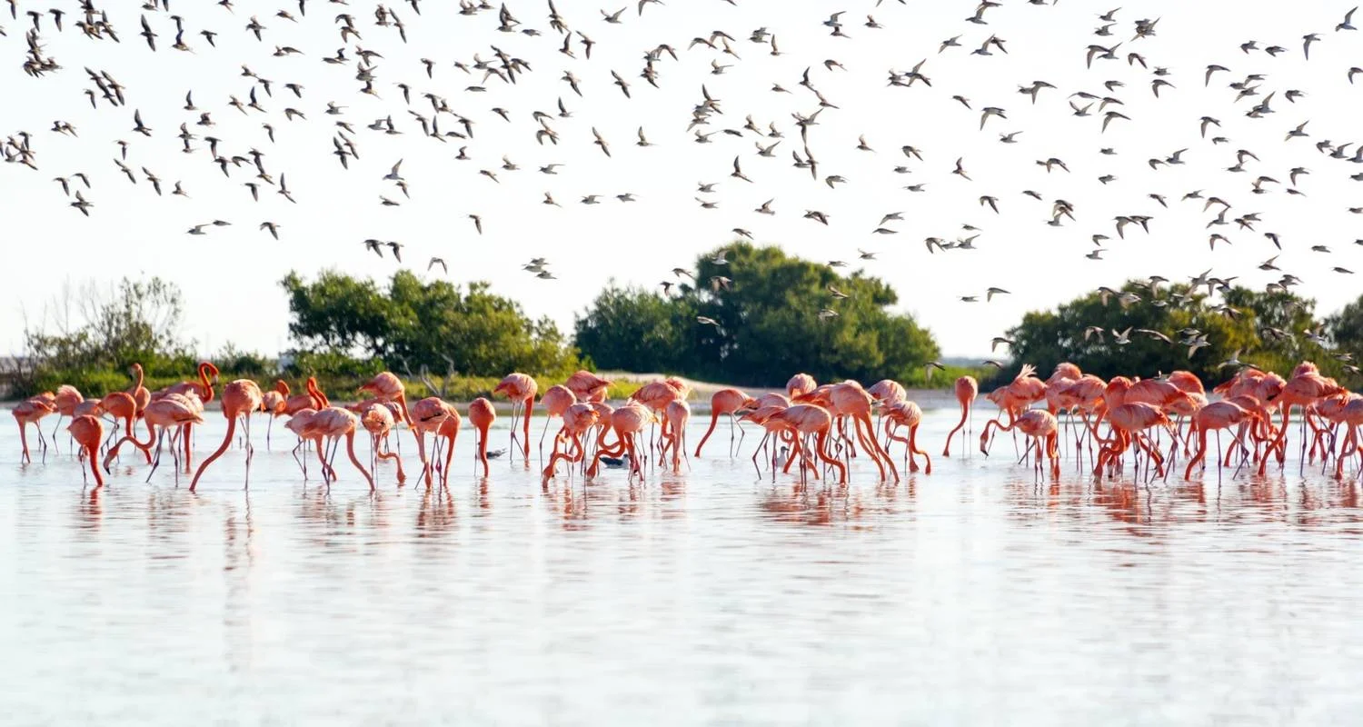 Explore The Mariachi route for 17 days with Europamundo and discover unforgettable experiences - Photo 2