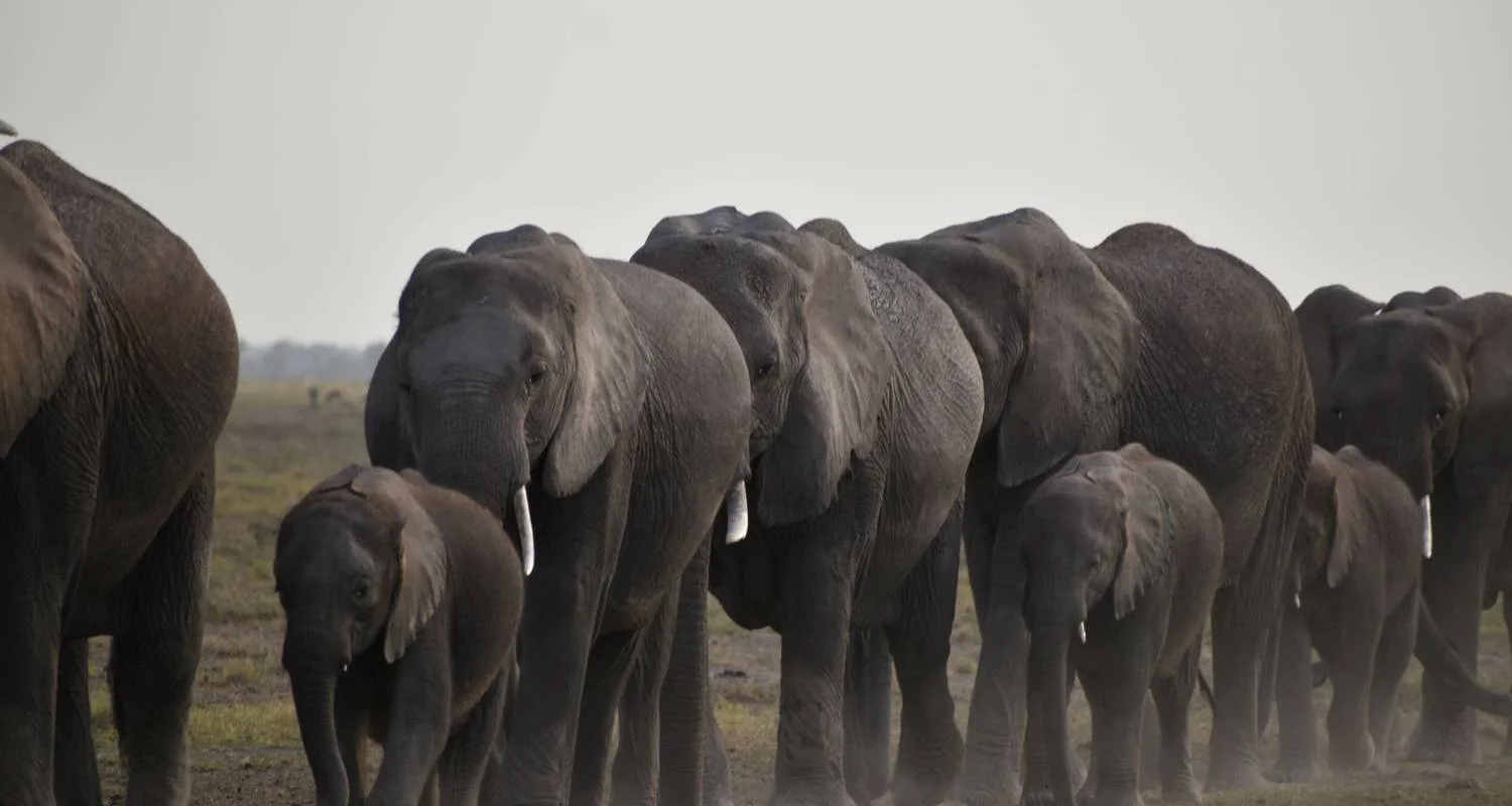 Explore 3 Days  Kenya Budget 4X4 Jeep Safari to Masai Mara for 3 days with Exciting Africa Holidays and discover unforgettable experiences - Photo 2