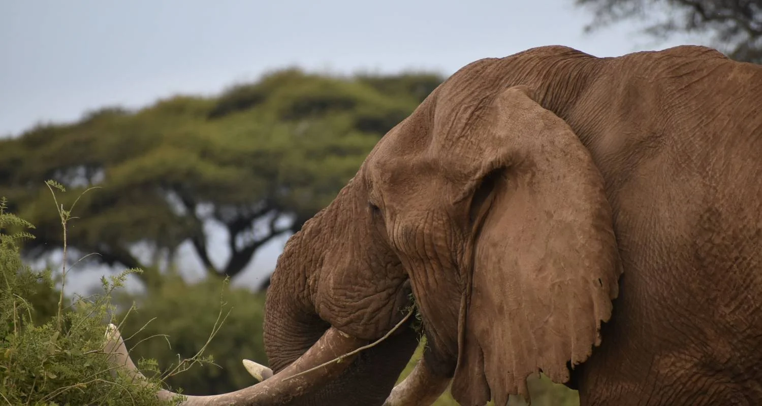 Explore 6 Days Kenya Lodge Safari to  Nakuru - Naivasha and Masai Mara for 6 days with Exciting Africa Holidays and discover unforgettable experiences - Photo 2