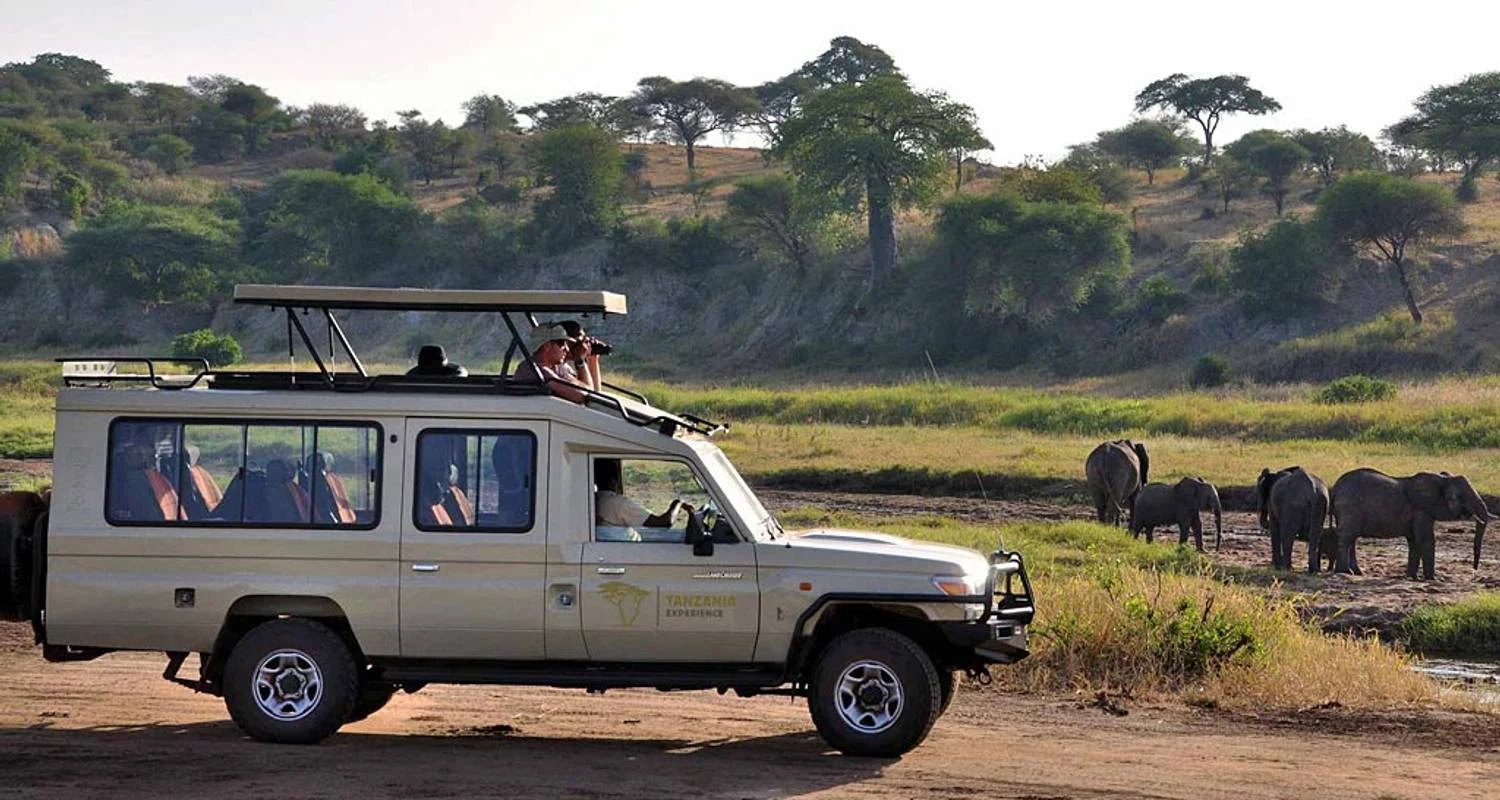 Explore 6 Days Tanzania Budget  Camping  Safari for 6 days with Exciting Africa Holidays and discover unforgettable experiences - Photo 2
