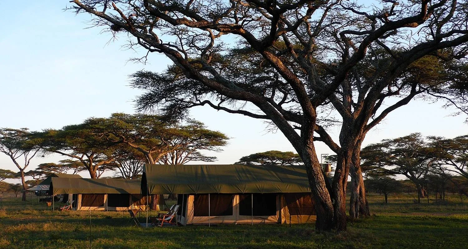 Explore 5 Days Marangu Route on Kilimanjaro (Coca- Cola route) for 5 days with Exodus African Safari and discover unforgettable experiences - Photo 2