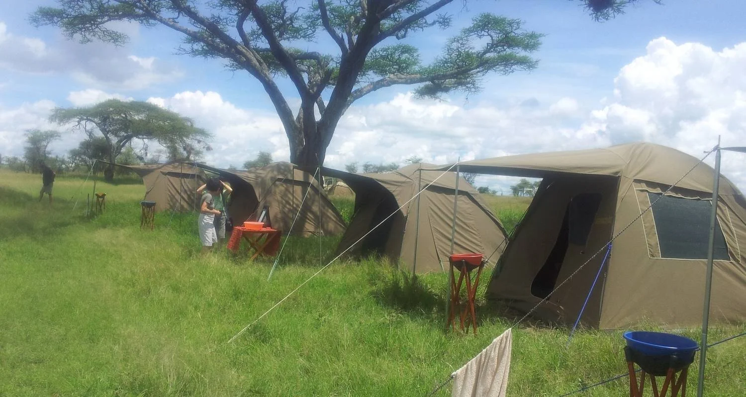 Explore 4-Days Tanzania Mid - Range Safari for 4 days with Exodus African Safari and discover unforgettable experiences - Photo 2