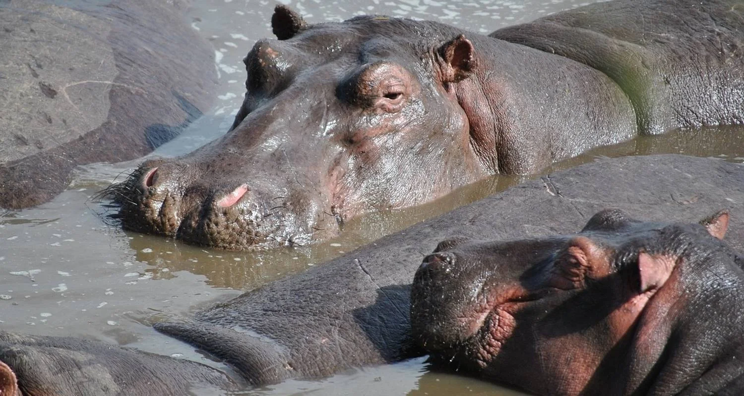 Explore 5 Days Tanzania Budget Camping Safari for 5 days with Exodus African Safari and discover unforgettable experiences - Photo 2