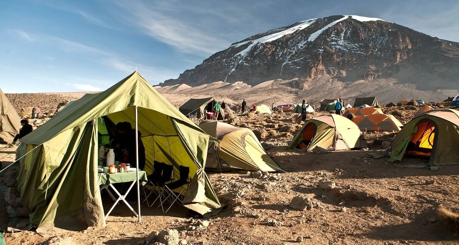 Explore Kilimanjaro Treks, 7-Days Lemosho Route for 7 days with Exodus African Safari and discover unforgettable experiences - Photo 2