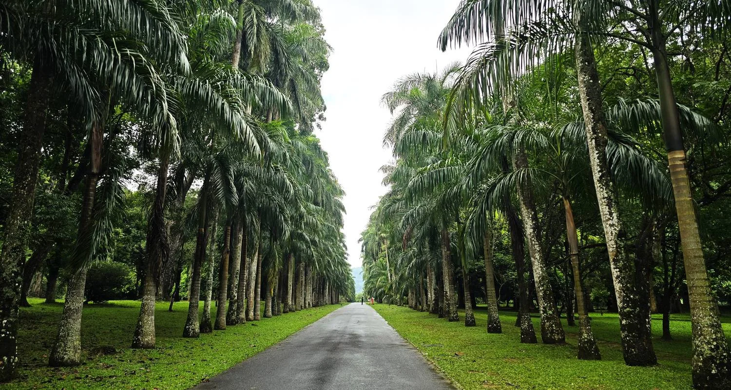 Explore Exquisite Sri Lankan Exploration for 14 days with Exotic Perla and discover unforgettable experiences - Photo 2