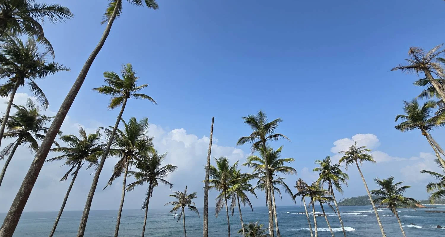 Explore All-in-One Sri Lanka Expedition for 16 days with Exotic Perla and discover unforgettable experiences - Photo 2