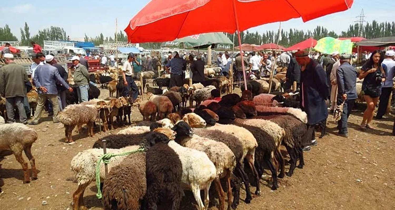 Explore The Silk Road for 16 days with Exodus Adventure Travels and discover unforgettable experiences - Photo 2